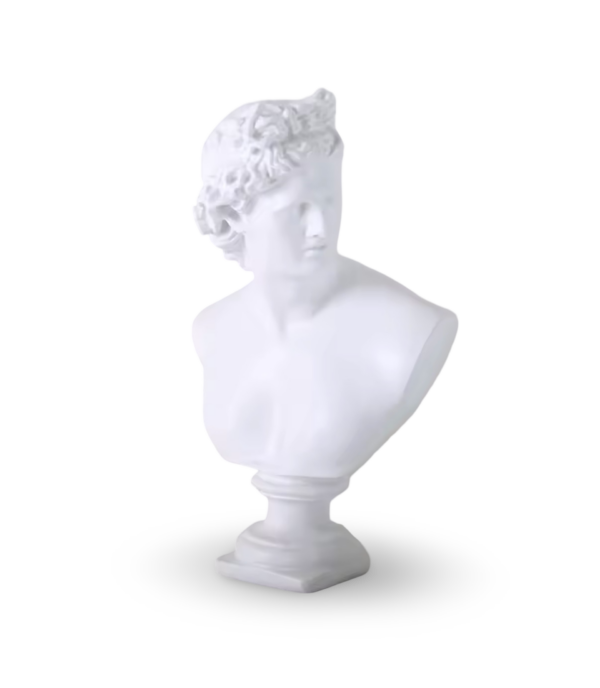Classic David Bust Sculpture with Base Inspired by Michelangelo