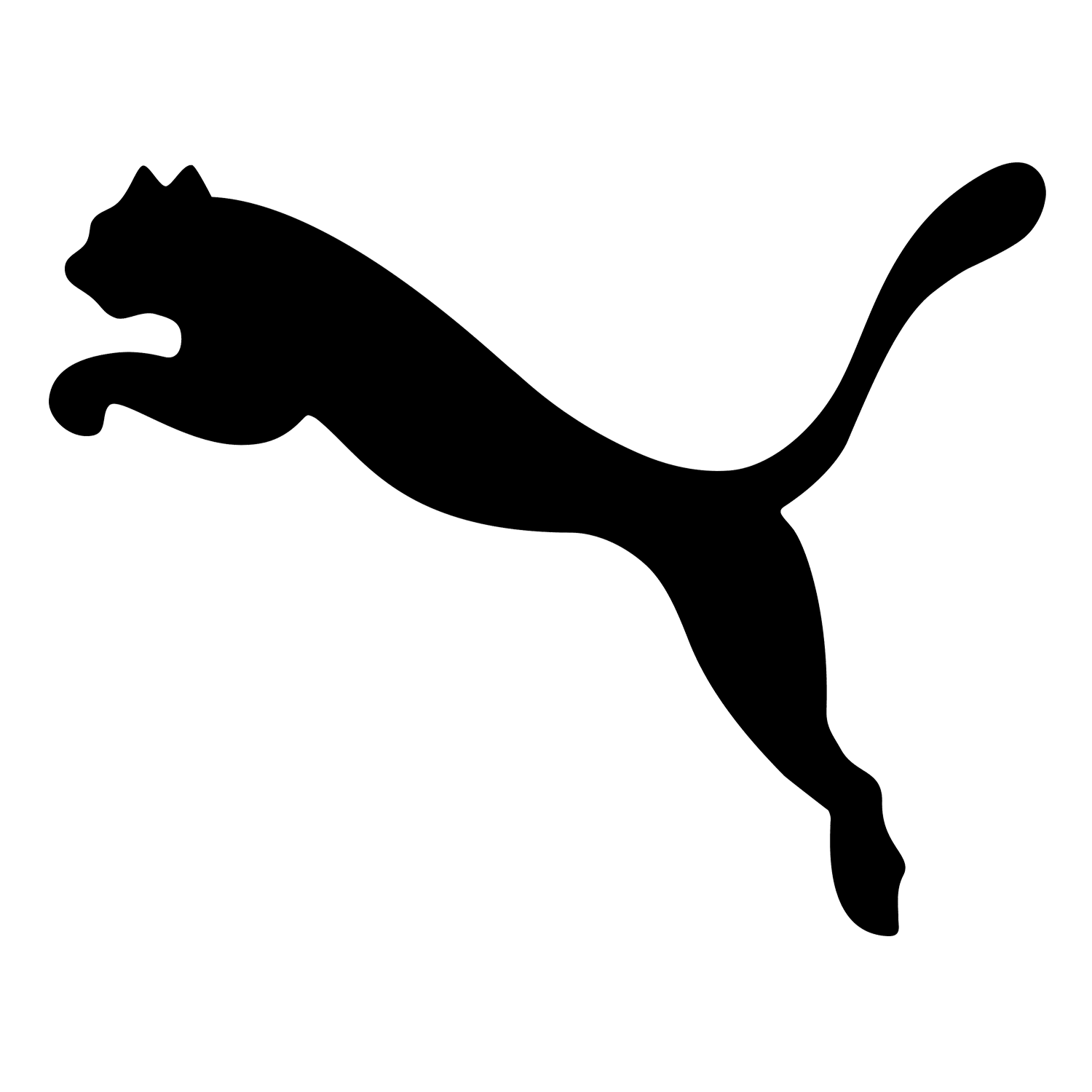 PUMA